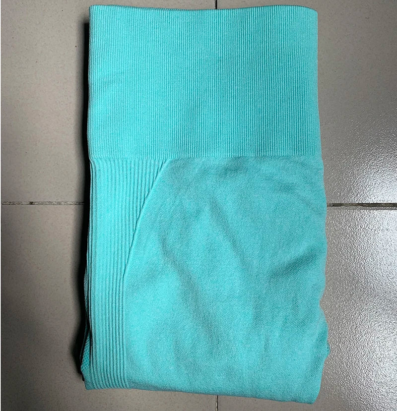 Seamless Squat-Proof Leggings