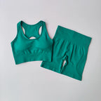 Seamless Yoga Set - Sport Bra & High Waist Shorts