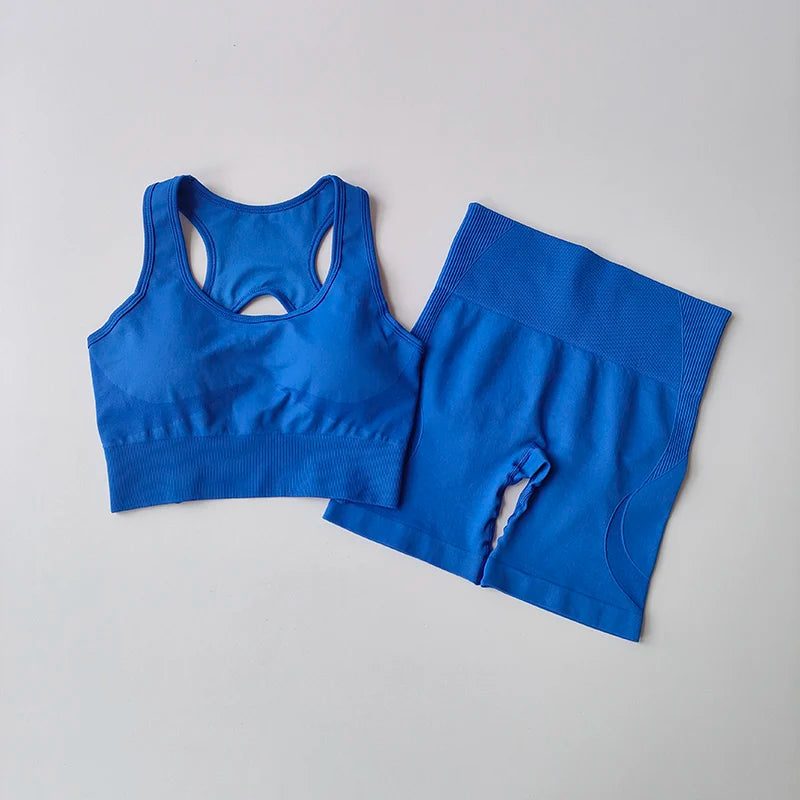 Seamless Yoga Set - Sport Bra & High Waist Shorts