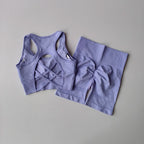 Seamless Yoga Set - Sport Bra & High Waist Shorts