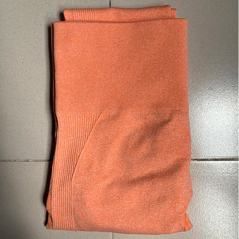 Seamless Squat-Proof Leggings